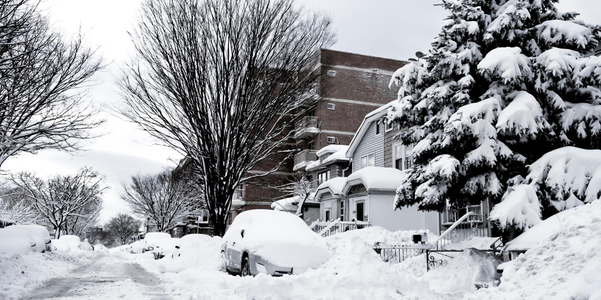 Service Advisory: Logistics Impact Due to Severe Weather