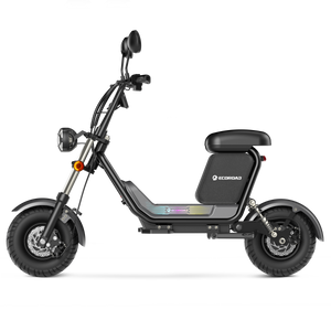 CT1 Electric Scooter with Seat