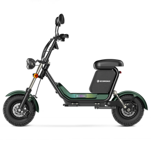 CT1 Electric Scooter with Seat