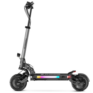 ES6 Dual Electric Scooter