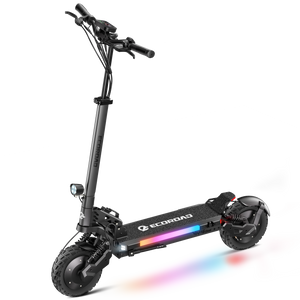 ES6 Dual Motor Electric Scooter