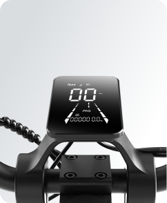 Electric scooter feature
