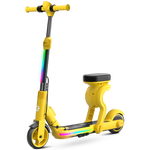 EK8 Electric Scooter