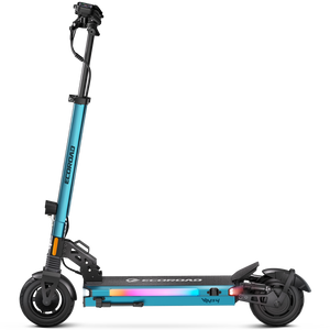 ES4 Electric Scooter